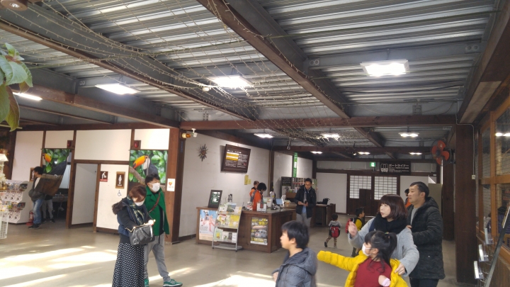 [2018.12.30-2019.01.01]兵庫県神戸市跨年散走之旅(嗯哼，大推神戶牛的鐵板燒太好吃啦！！！)