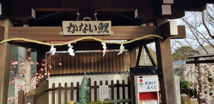 [2018.12.30-2019.01.01]兵庫県神戸市跨年散走之旅(嗯哼，大推神戶牛的鐵板燒太好吃啦！！！)