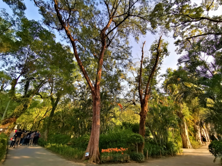 (更新) Mate 20 Pro 美照圖集 (Leica 3 鏡完全應用解析)