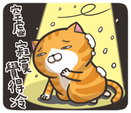 恭賀～～～～『九頭蛇』車隊成立！！！