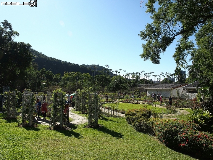臺北市 士林區 2018士林官邸公園「菊世遨遊」菊展 — 萬紫千紅之花團錦簇,快賞菊花去 ~~