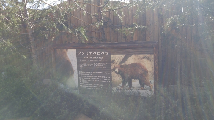 [2018.12.30-2019.01.01]兵庫県神戸市跨年散走之旅(嗯哼，大推神戶牛的鐵板燒太好吃啦！！！)
