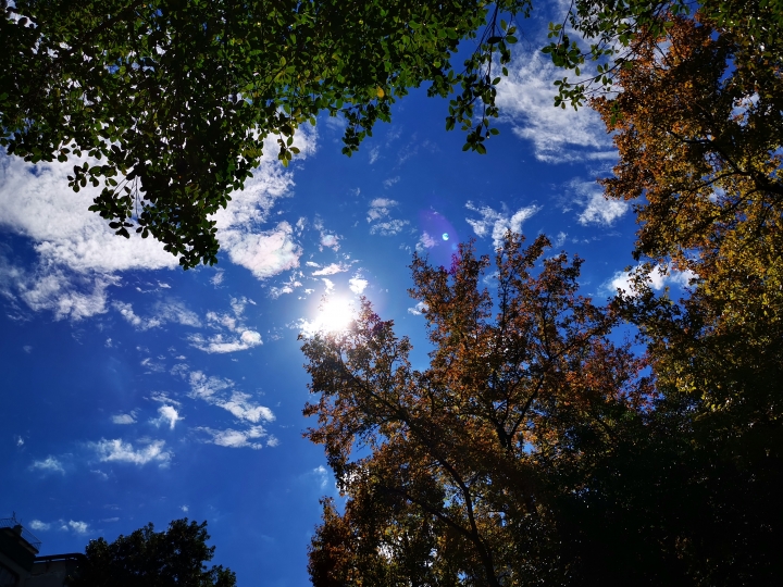 (更新) Mate 20 Pro 美照圖集 (Leica 3 鏡完全應用解析)