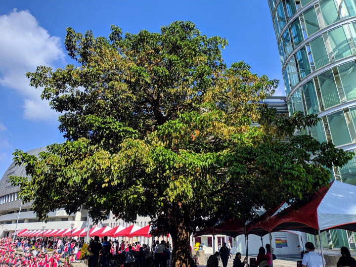 (更新) Mate 20 Pro 美照圖集 (Leica 3 鏡完全應用解析)