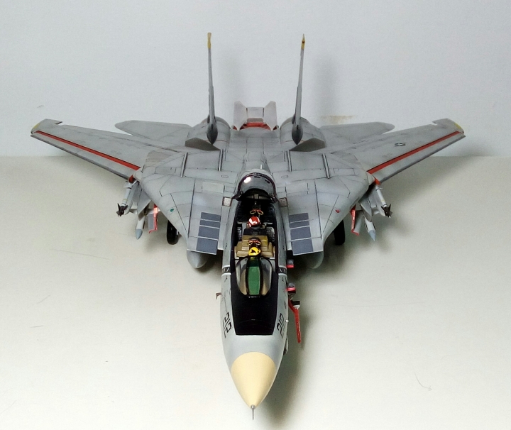 Hasegawa 長谷川  1/48 F-14 TOMCAT 雄貓式戰鬥機