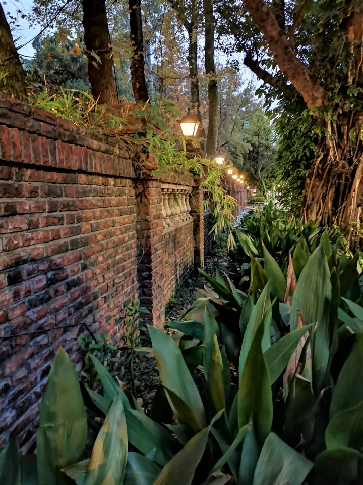 (更新) Mate 20 Pro 美照圖集 (Leica 3 鏡完全應用解析)