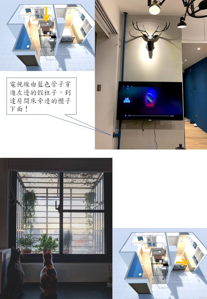 [開箱]三隻貓主子及剷屎官與他們的微智能輕工業小宅(詳細流程)