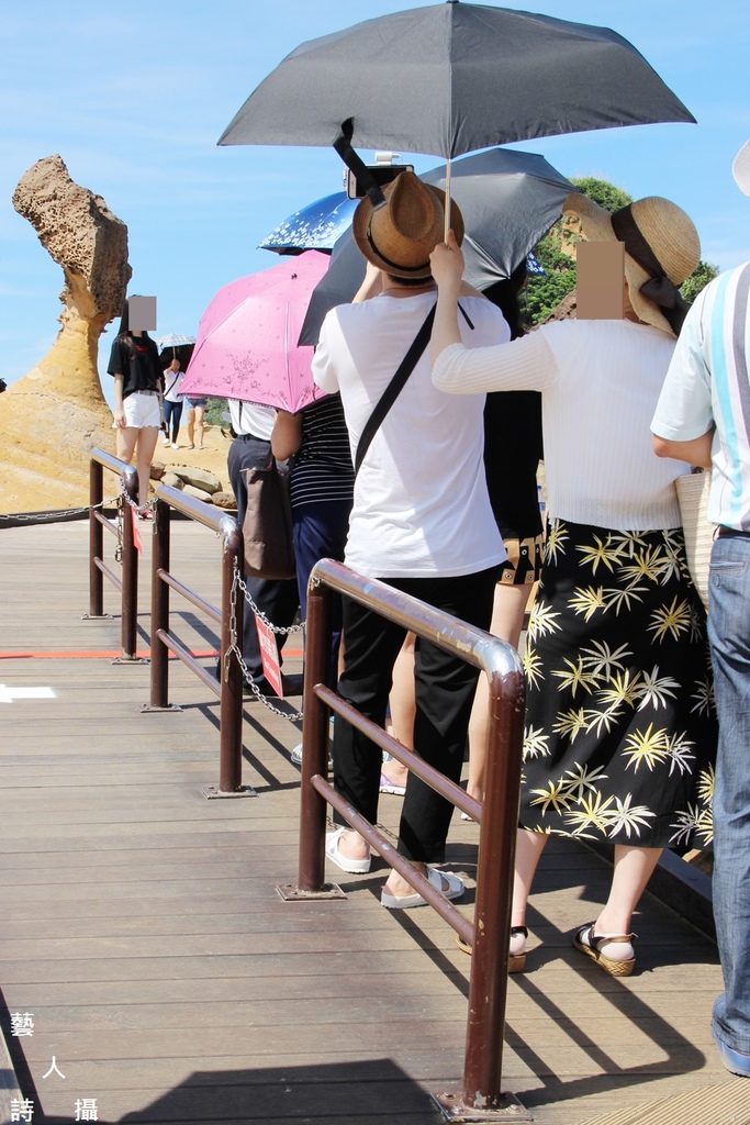 韓國人最愛台灣旅遊景點之一.新北《野柳地質公園》