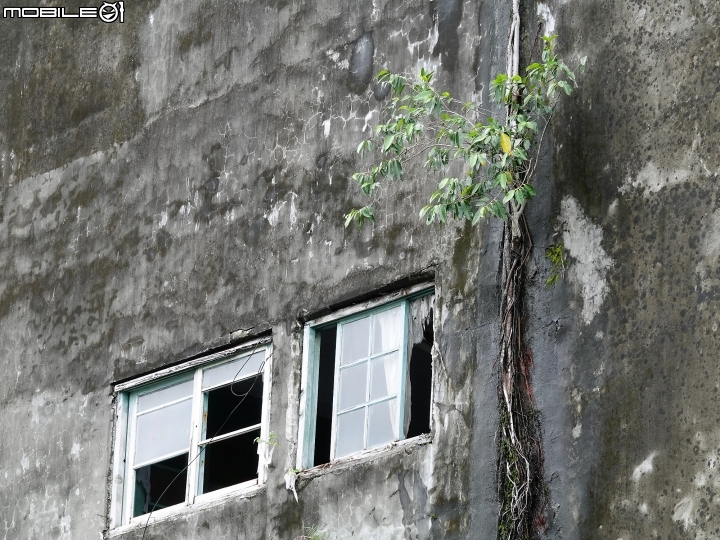 宜蘭 五結 中興文化創意產業園區 —造紙工廠幾成廢墟,翻轉成IG打卡新景點