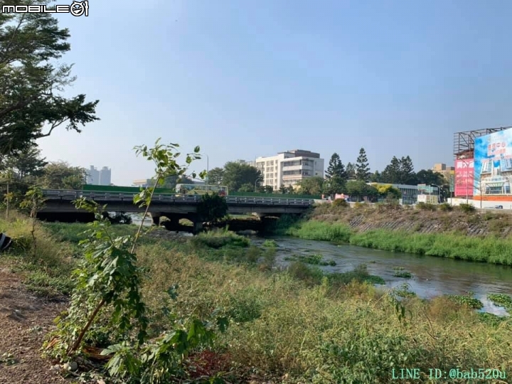 興大康橋-柱中柱(已下訂&有興趣也歡迎來群組交流)