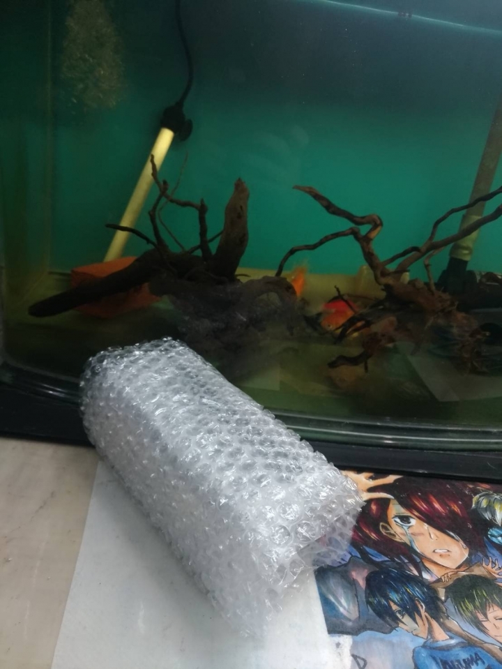 (圖多慎入)較另類的手機消費經驗分享  NOKIA 8110 香蕉復刻!!!