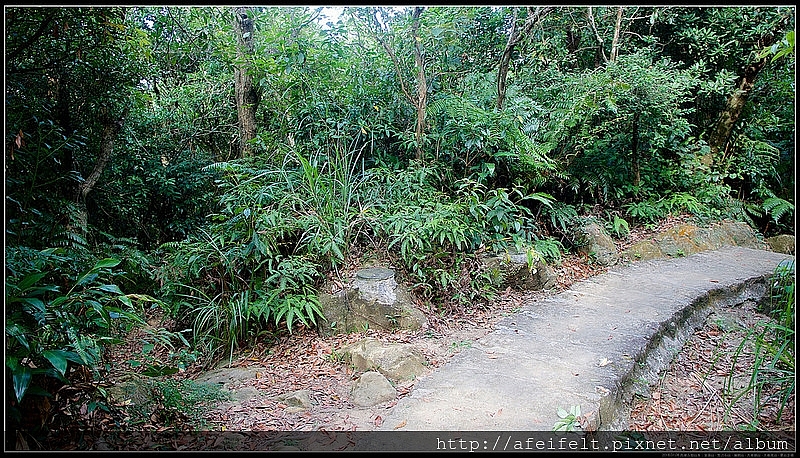路線紀錄：【金面山】【剪刀石山】【論劍山】【大崙頭山】【大崙尾山】〖翠山步道〗