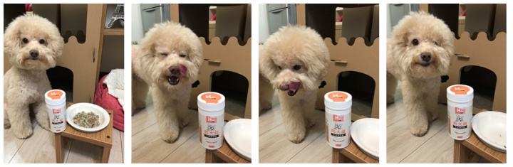 懶人版狗狗鮮食