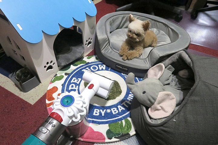 [開箱] Dyson V7 mattress 的進擊 讓塵螨無所遁形