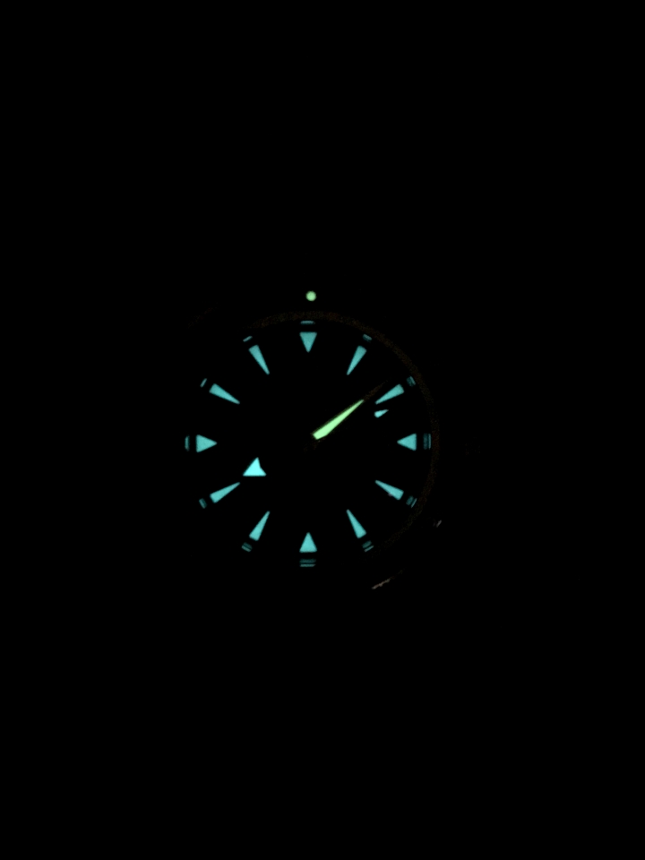 點我看大圖 【開箱】期待已久的Omgea Seamaster 海馬 300M