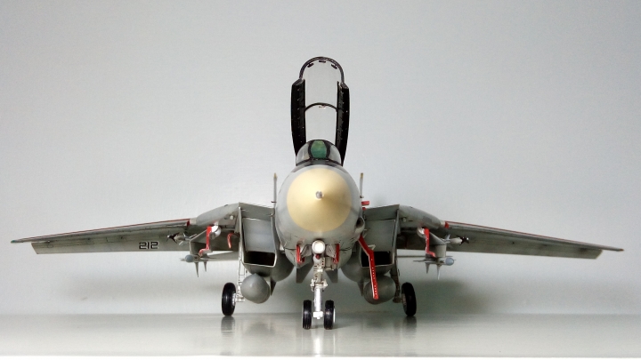 Hasegawa 長谷川  1/48 F-14 TOMCAT 雄貓式戰鬥機