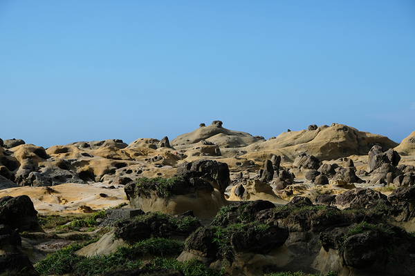 【 基隆 】 和平島公園 ｜夏日玩水、踏青的好地方