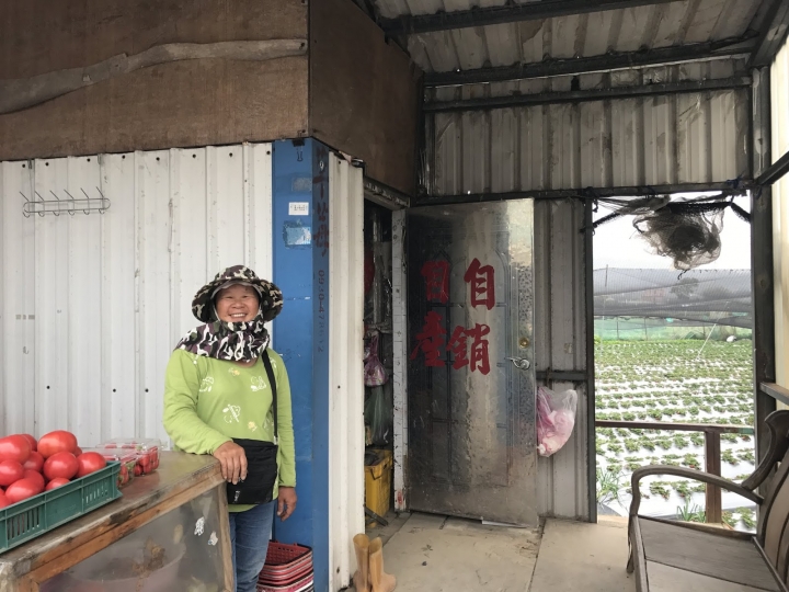 [美食] 新竹新埔。春泉草莓園。2018來新埔拔草莓~