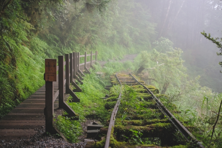 [亂拍照] 2018攝影回顧 (DJI / Nikon / Fujifilm / Leica / Contax)