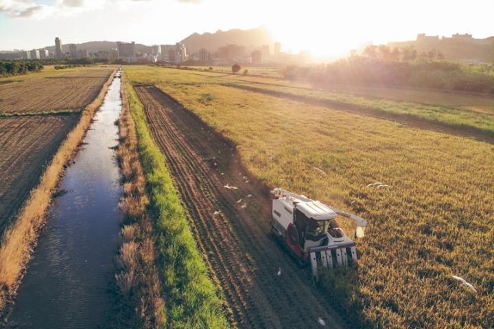 [亂拍照] 2018攝影回顧 (DJI / Nikon / Fujifilm / Leica / Contax)