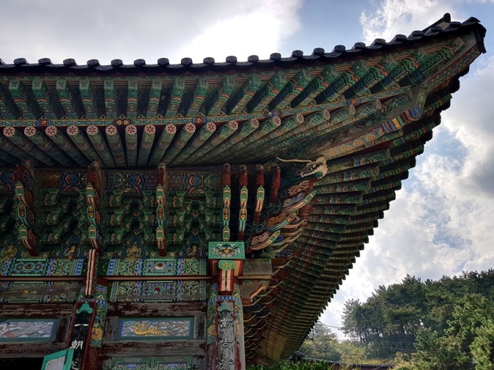 韓國釜山 機張郡 韓國最高秘景  108階梯帶您走到韓國三大觀音聖地之一 看日出岩 摸得男佛~ 許願池祈求心想事成!! 海景寺廟遊記~the most beautiful temple in Korea