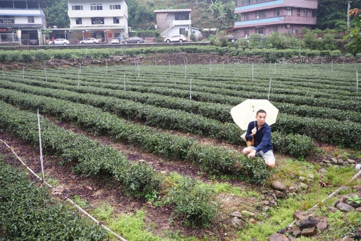 【新北坪林 | 私廚】墜入充滿茶香與乾燥花的國度❄金瓜三號