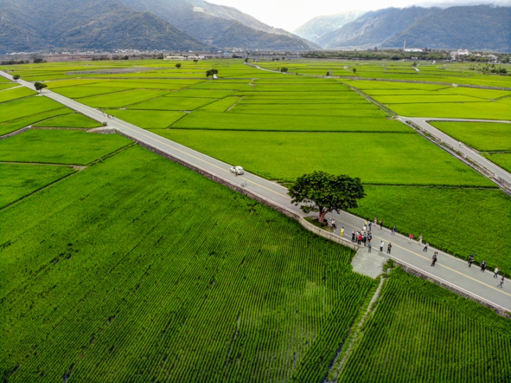 [亂拍照] 2018攝影回顧 (DJI / Nikon / Fujifilm / Leica / Contax)