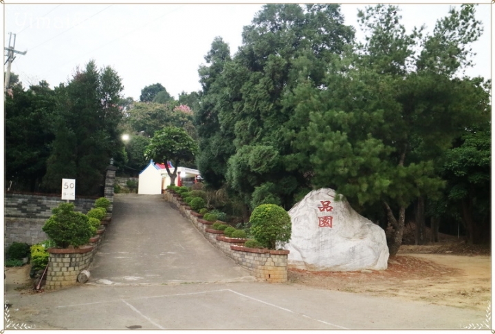 [季節限定]初冬不能缺少褐色落羽松祕境~三灣。品園。大溪
