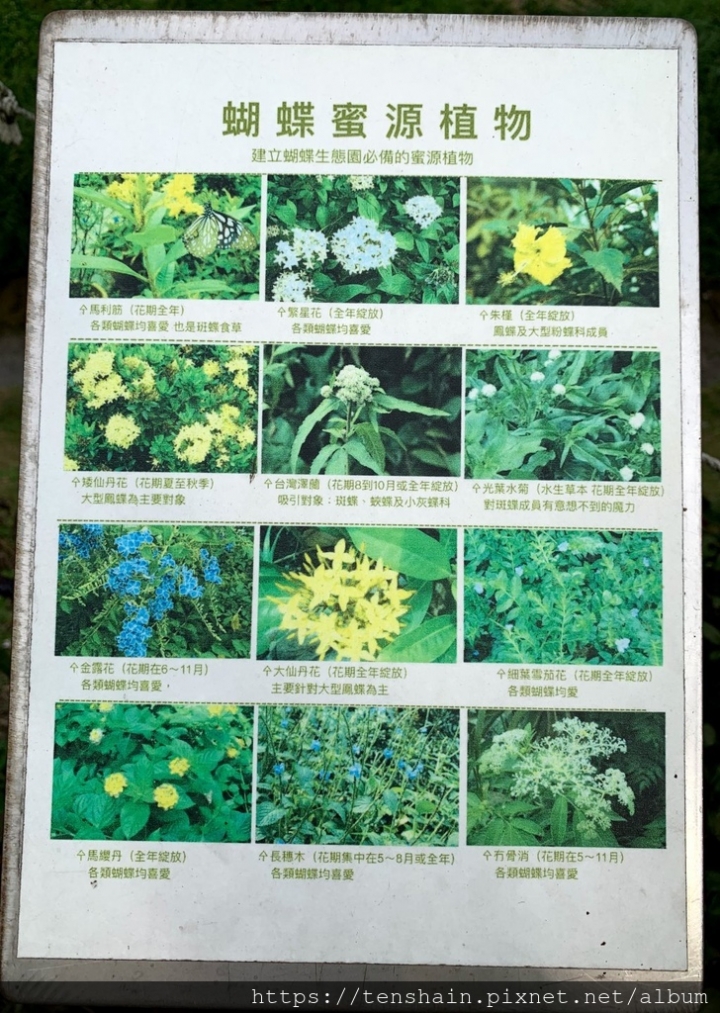 [台北景點]2019樂活櫻花季~在地推薦賞花最佳路線