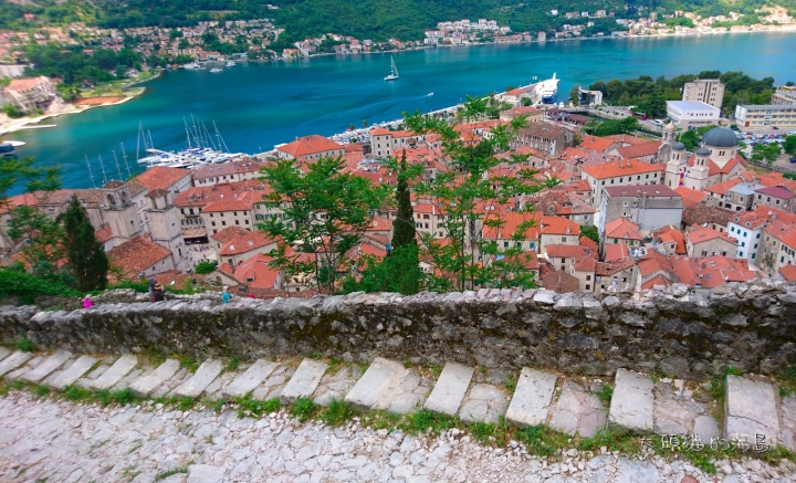 [大頭貓的海島] 柯托爾 峽灣裡的夜明珠 Kotor