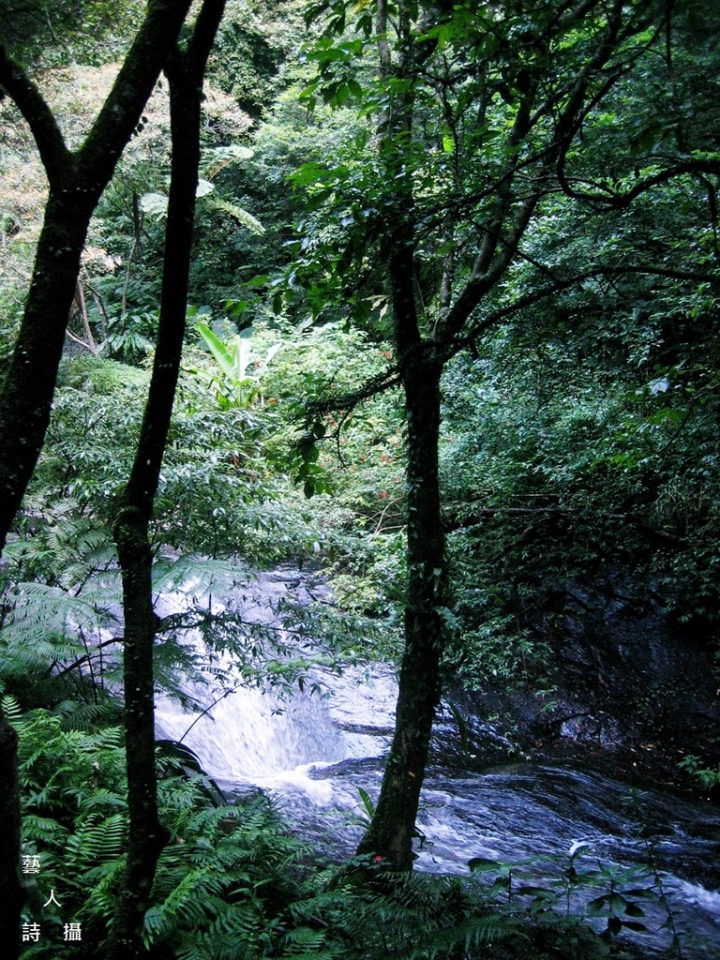 ★過年環島行不行★上山/下海/都會/文青/美食★五大主題寶島行