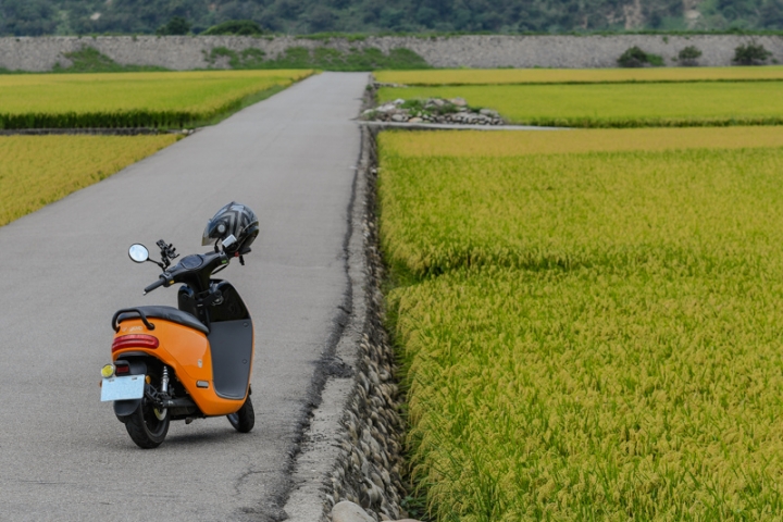 [亂拍照] 2018攝影回顧 (DJI / Nikon / Fujifilm / Leica / Contax)