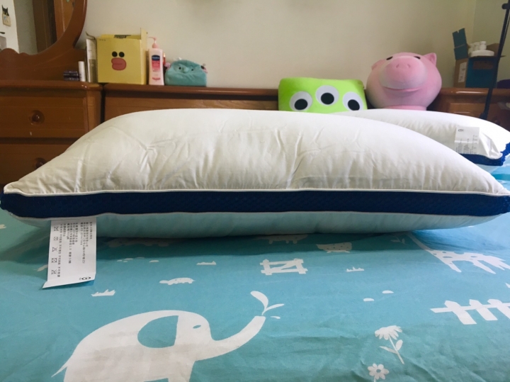 德瑞克3D獨立筒枕頭心得分享