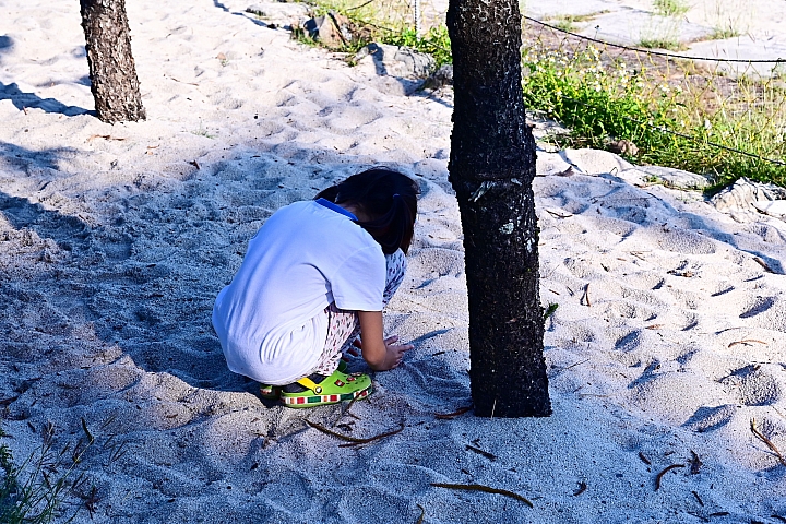 大年初三快樂幸福洋溢在新埤獅頭庄水農場