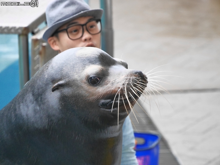 花蓮 壽豐 遠雄海洋公園 — 老少咸宜的遊樂區