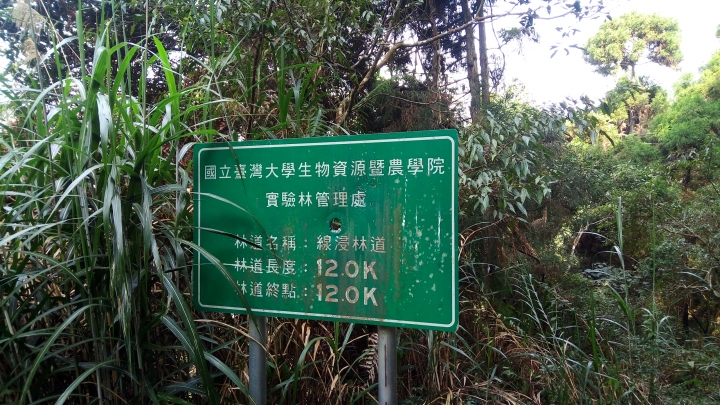相隔十年的南投線浸林道