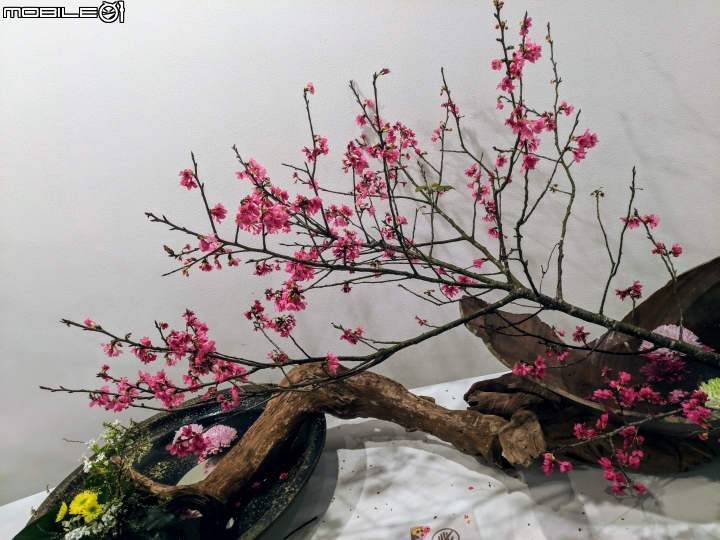 台中花博后里園區花舞館 02/6