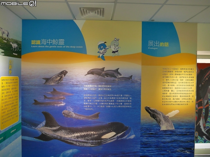花蓮 壽豐 遠雄海洋公園 — 老少咸宜的遊樂區