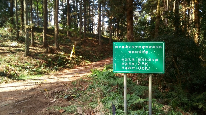 相隔十年的南投線浸林道
