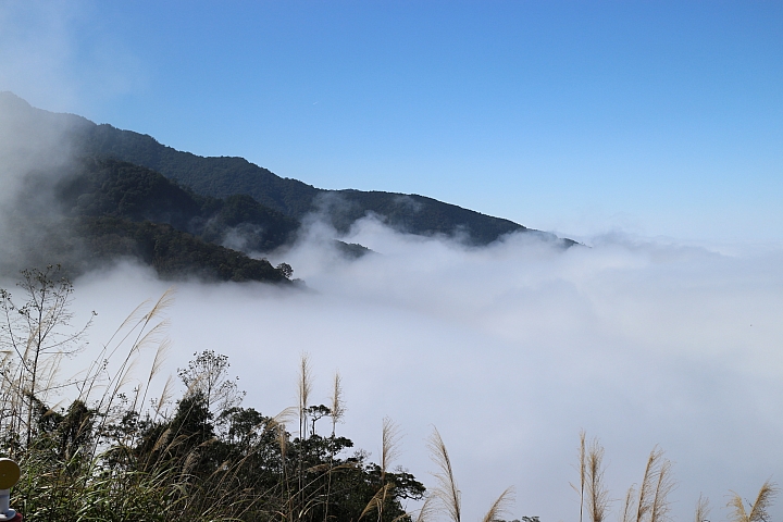 尖石雲海媲美太平山！