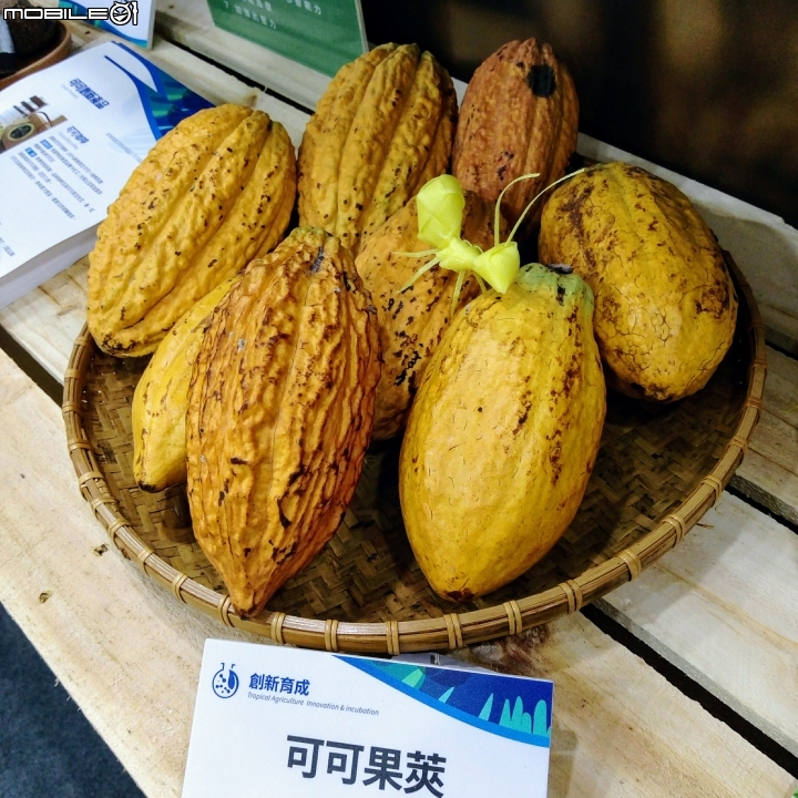 熱帶農業博覽會 屏東縣長治鄉德和路 02/05
