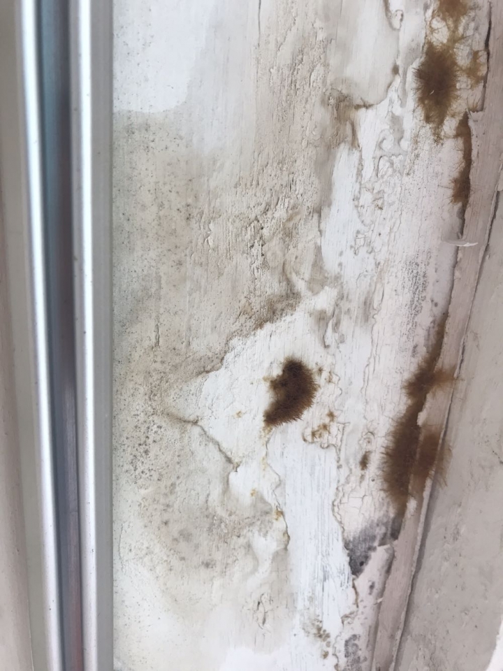 上市集團售屋公司 成交賣方隱瞞漏水事跡的房屋
