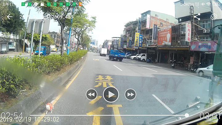 誰家的吉娃娃走失了(失主已尋獲)