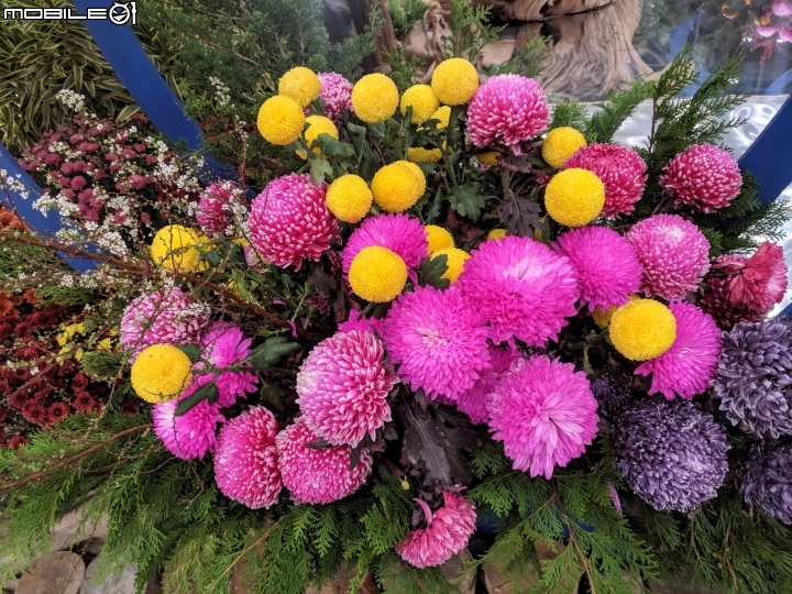 台中花博后里園區花舞館 02/6