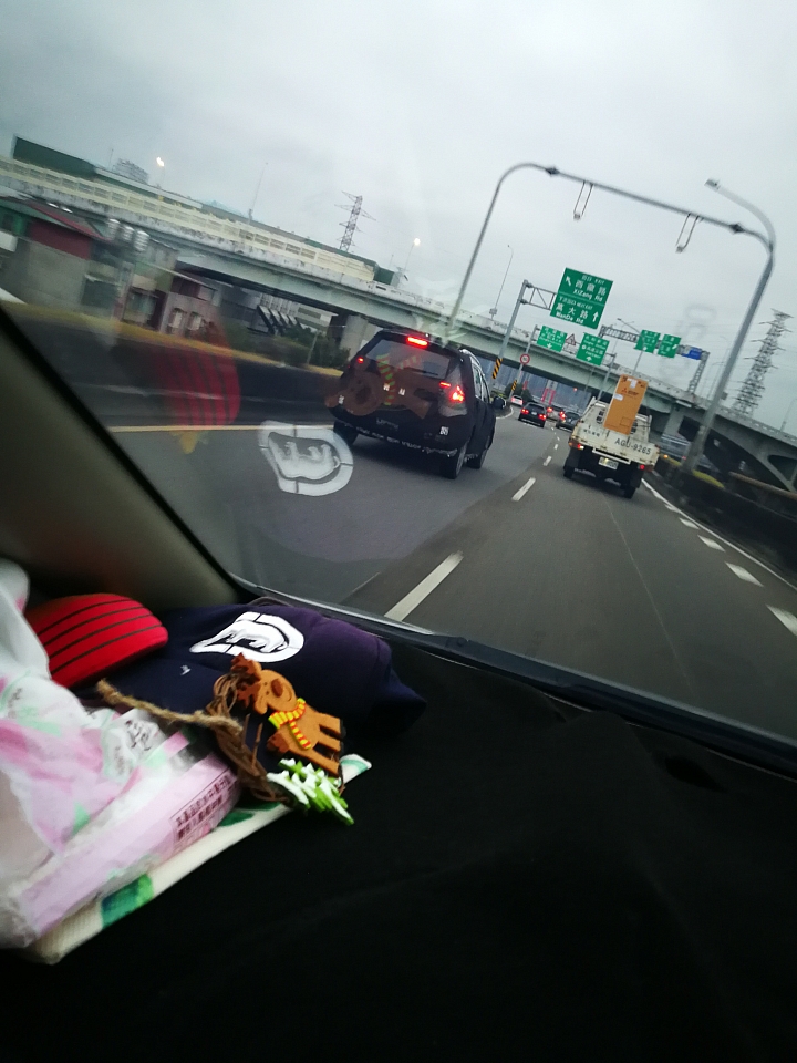 偽裝車…
