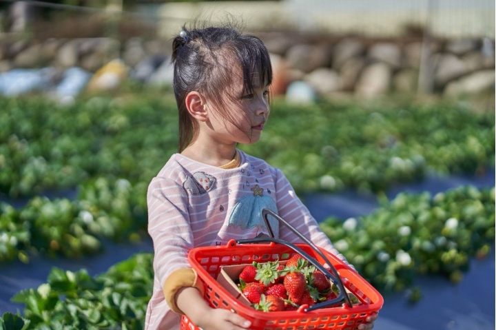 FE 85mm F1.8 入手心得