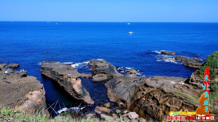 我的狗狗肉 「台灣環島」自由行，還有合歡山哦~