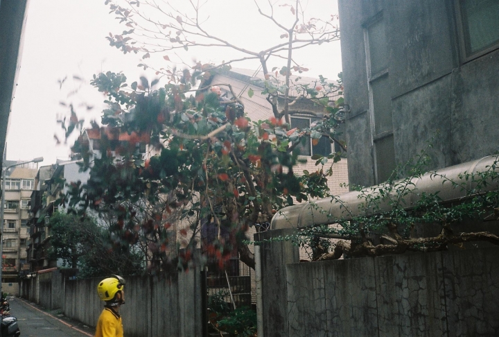 [Ricoh 35EFS]溫羅汀康青龍街區散步趣[Kodak 200]