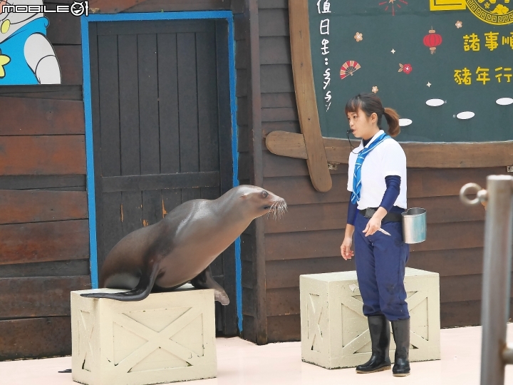 花蓮 壽豐 遠雄海洋公園 — 老少咸宜的遊樂區