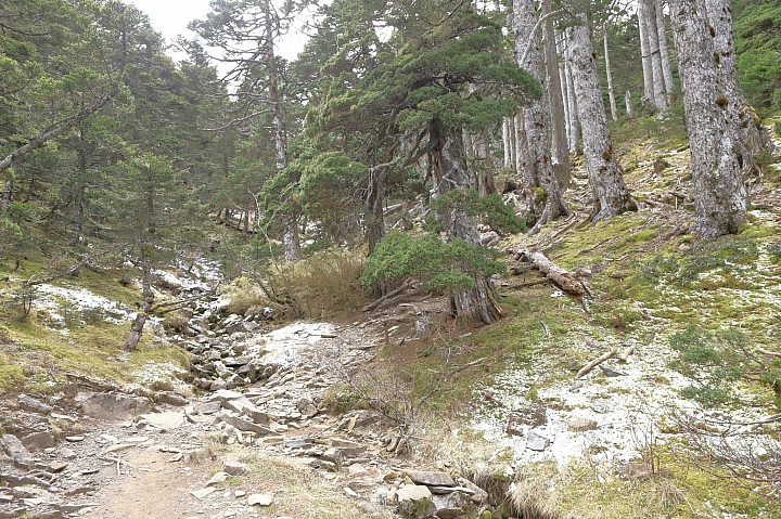 201901雪山下翠池